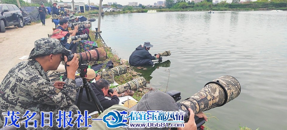 c63cca83edc363690a01b36dae2818cb.jpg
