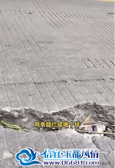 ΢��ͼƬ_20241216102516.png