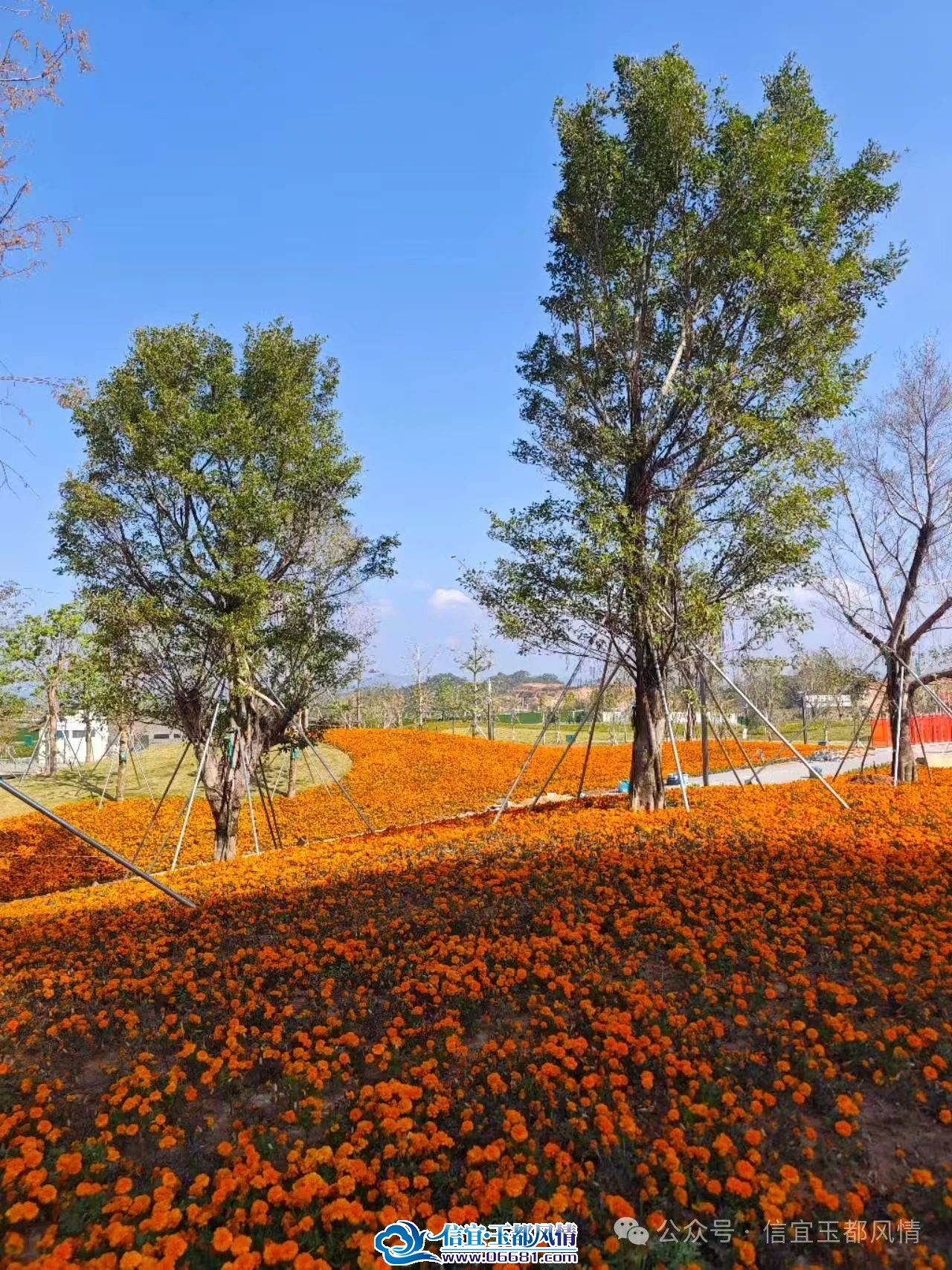 ΢��ͼƬ_20250106101819.jpg