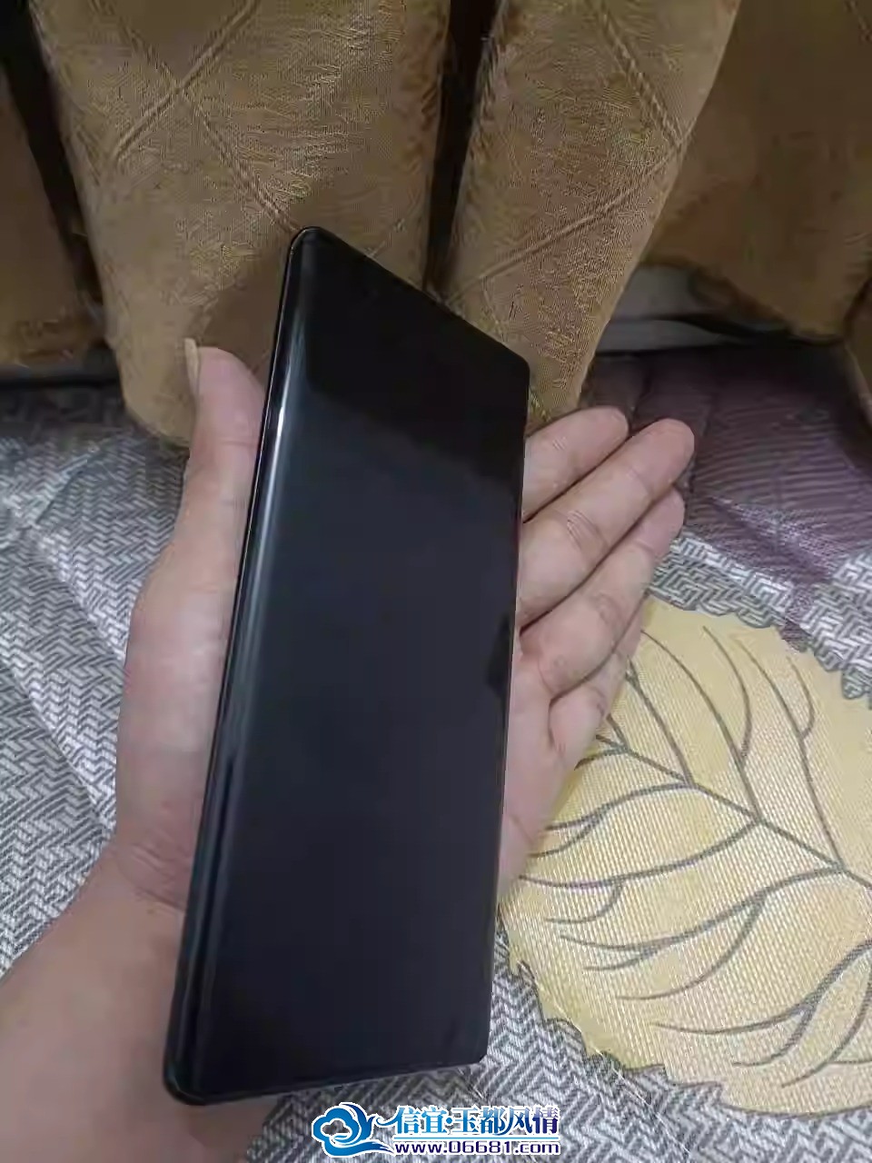 1736142283667.jpg