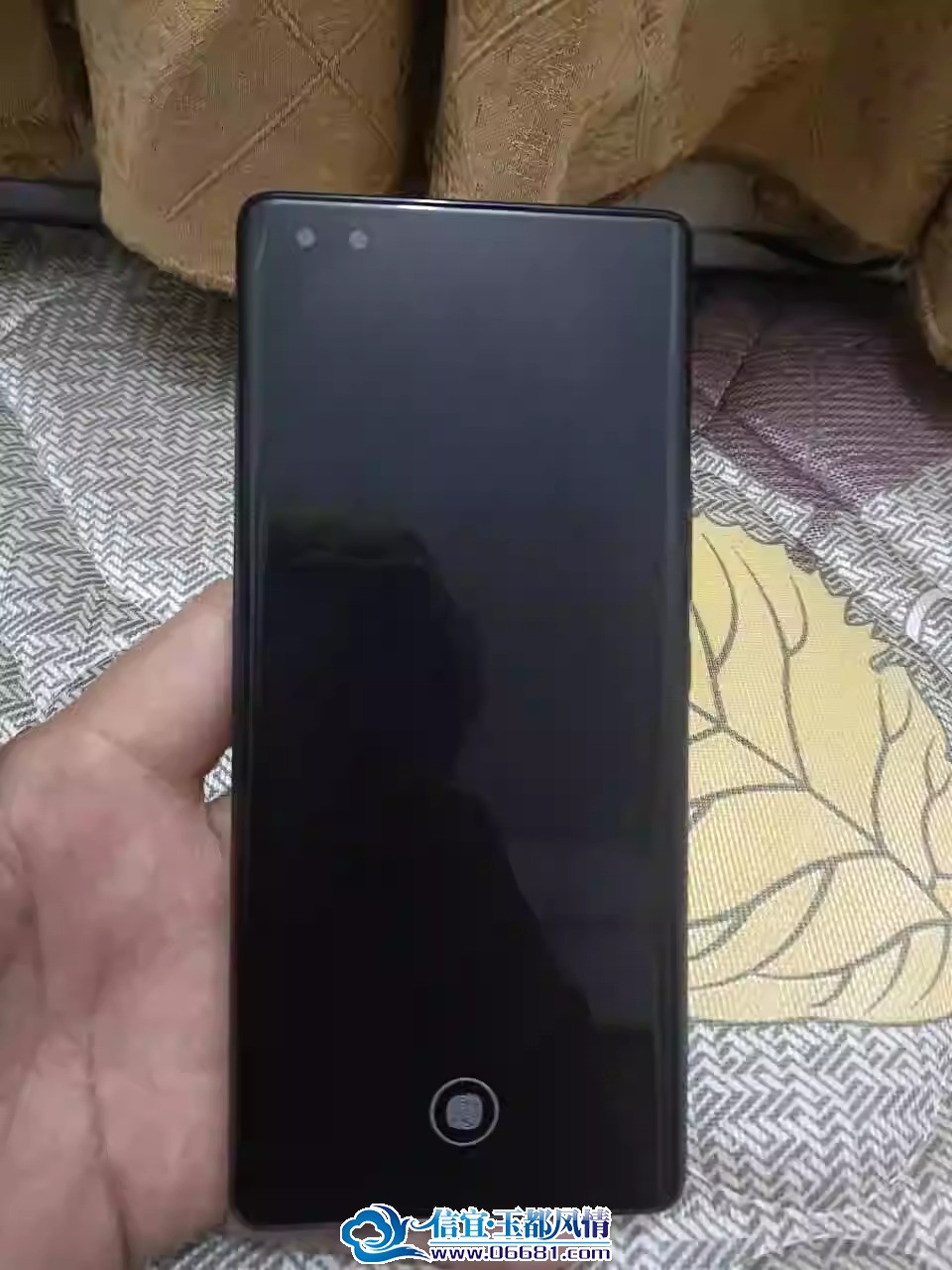 1736142294870.jpg