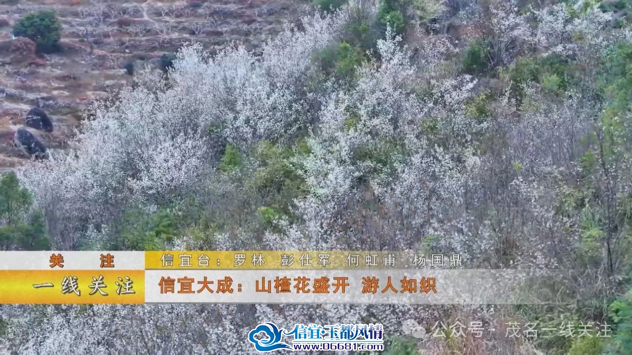 ΢��ͼƬ_20250211100231.jpg