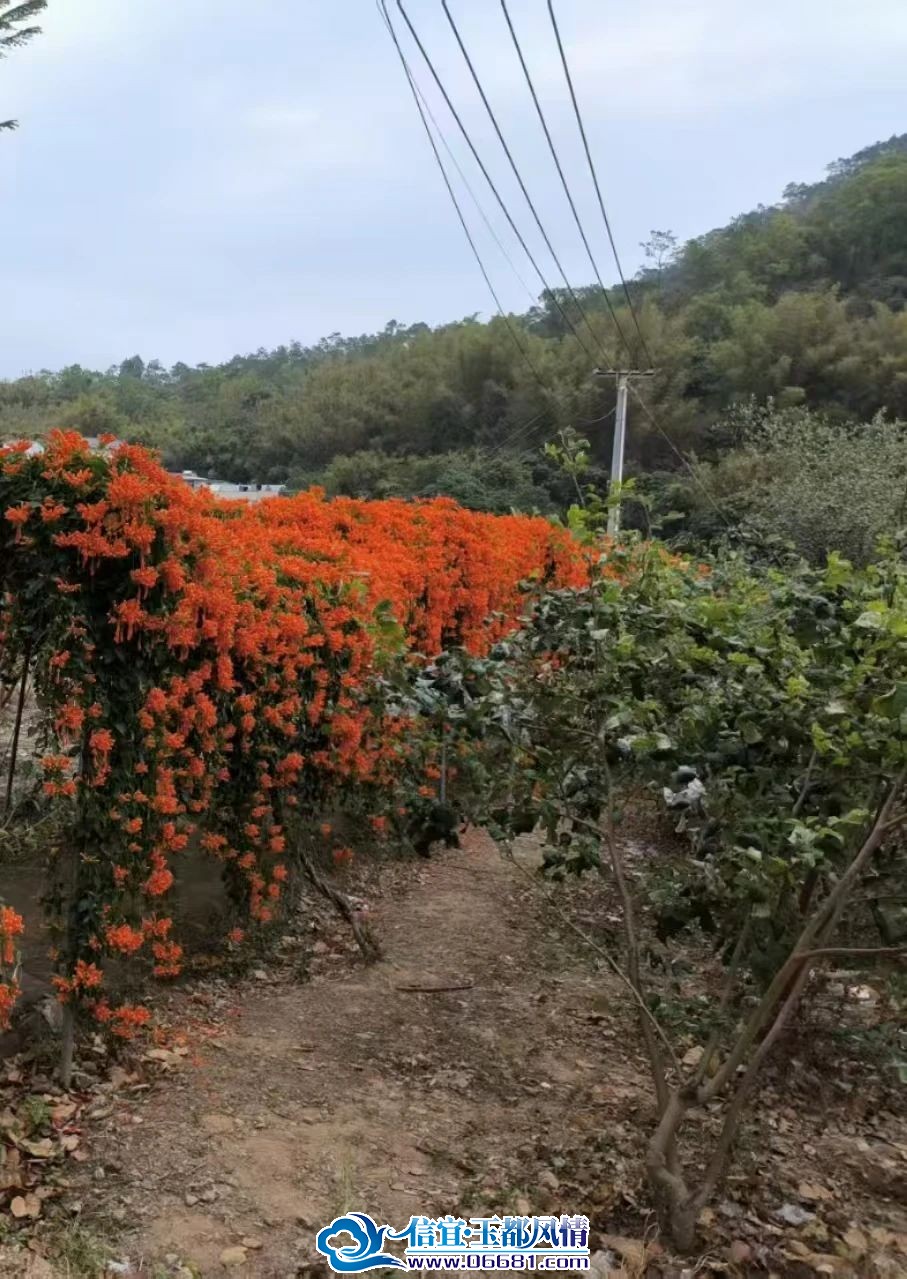΢��ͼƬ_20250224101149.jpg
