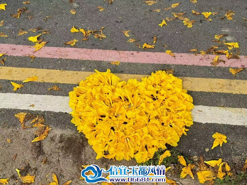 ΢��ͼƬ_20250303154839.jpg