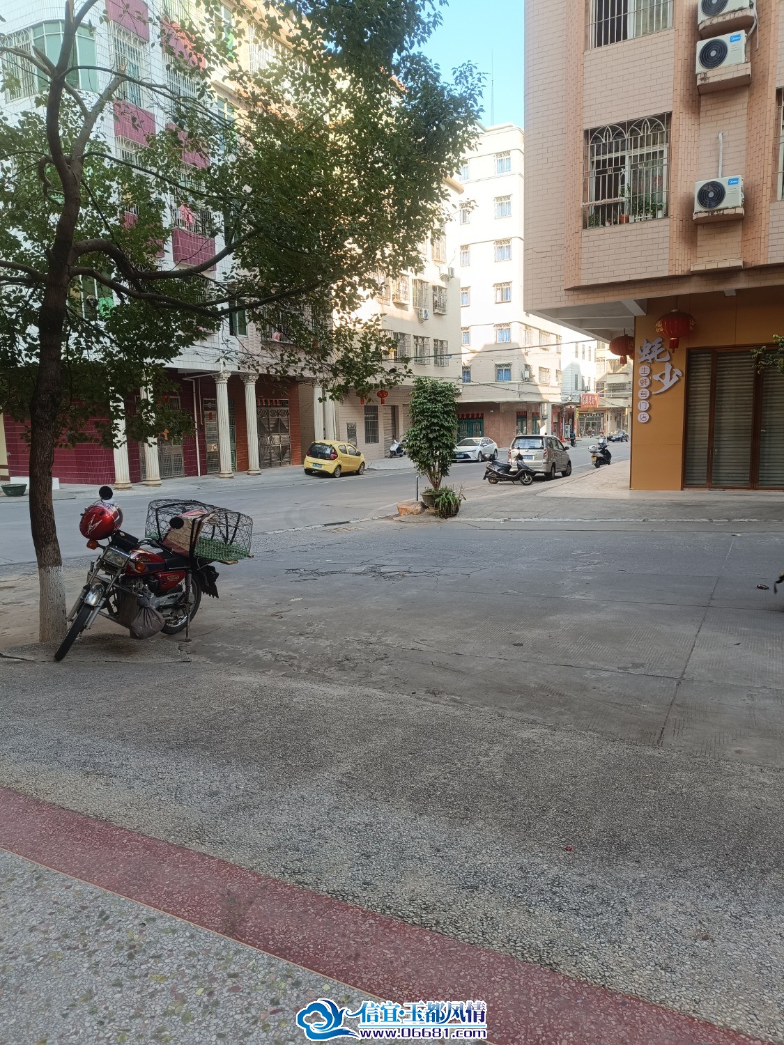 MVIMG_20250210_163014.jpg