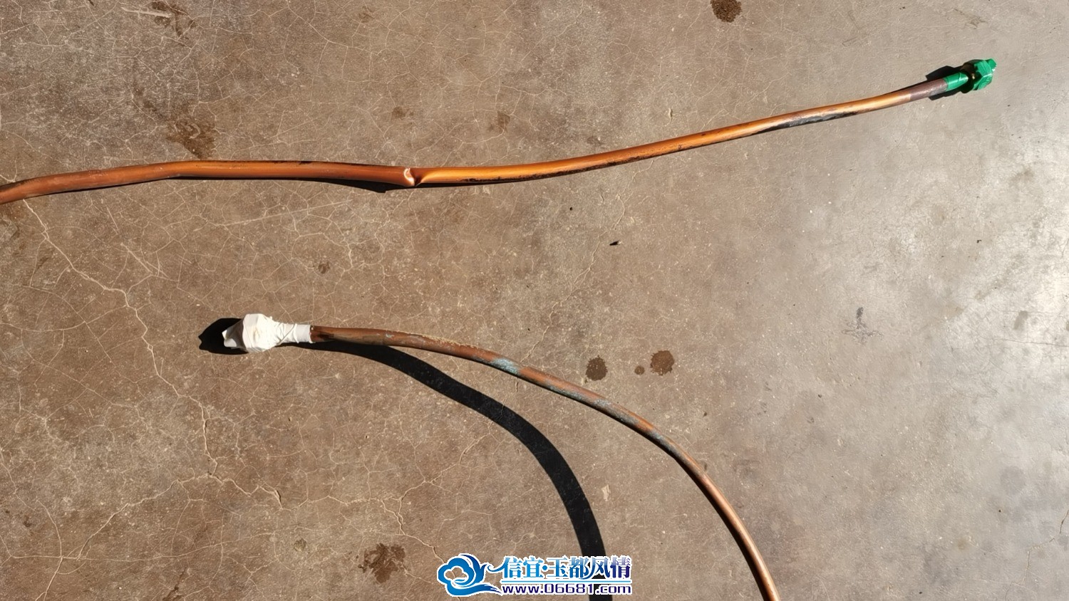 wx_camera_1742456831362.jpg