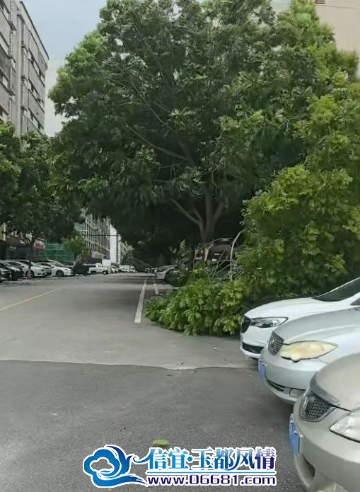 ����.jpg