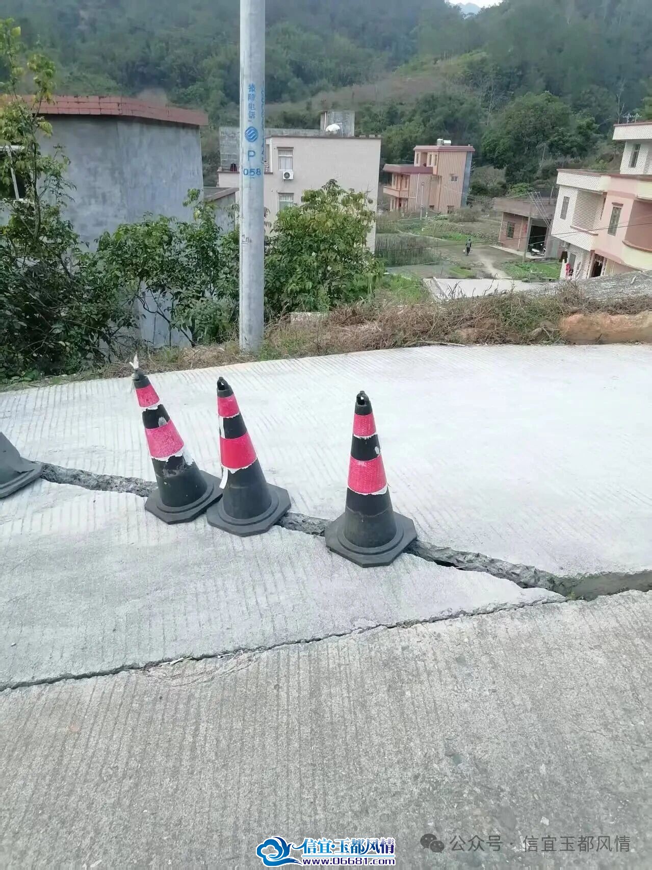 333.jpg