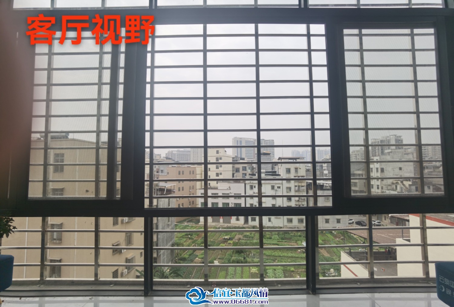 mmexport1771985739019.jpg