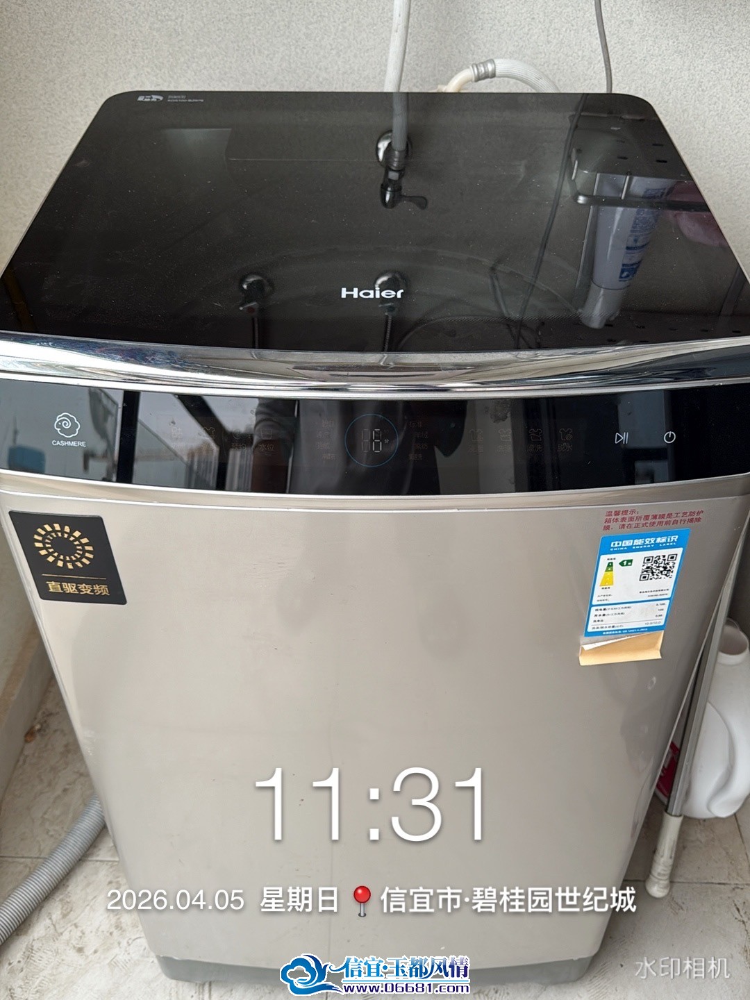 IMG_3902.jpeg
