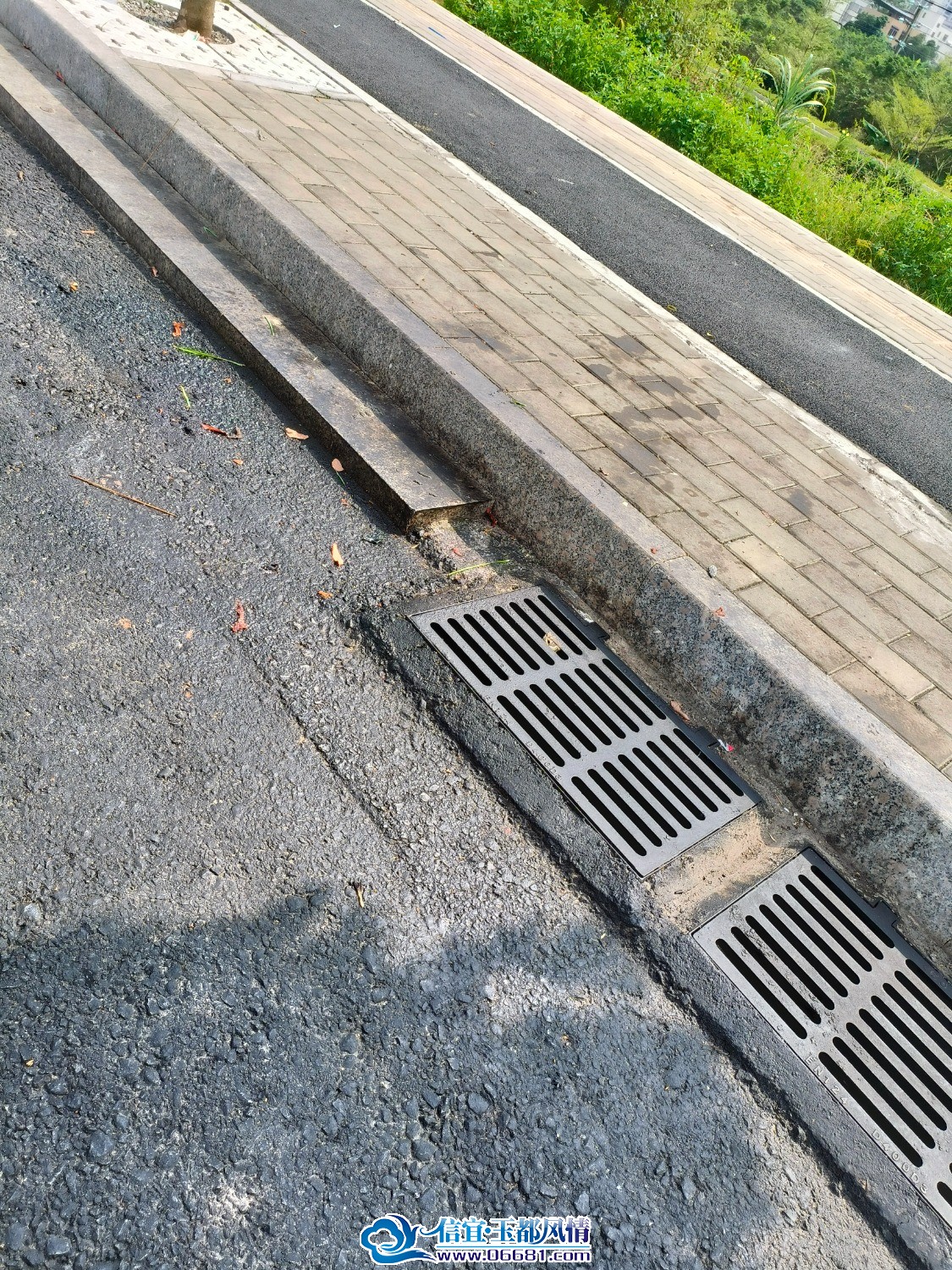 IMG20260922143951.jpg