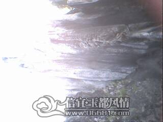 IMG0091A.jpg