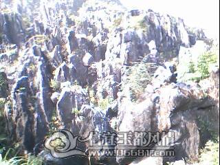 IMG0089A.jpg