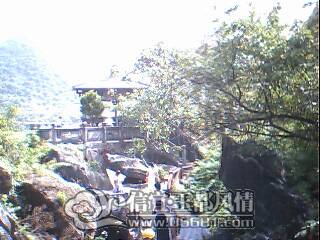 IMG0100A.jpg