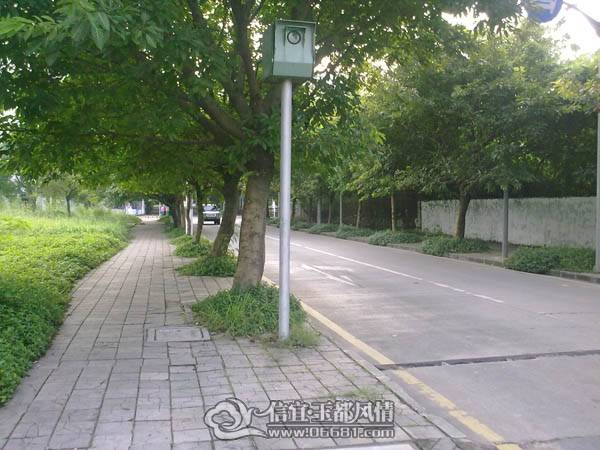 20101003264.jpg