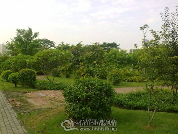 20101003258.jpg