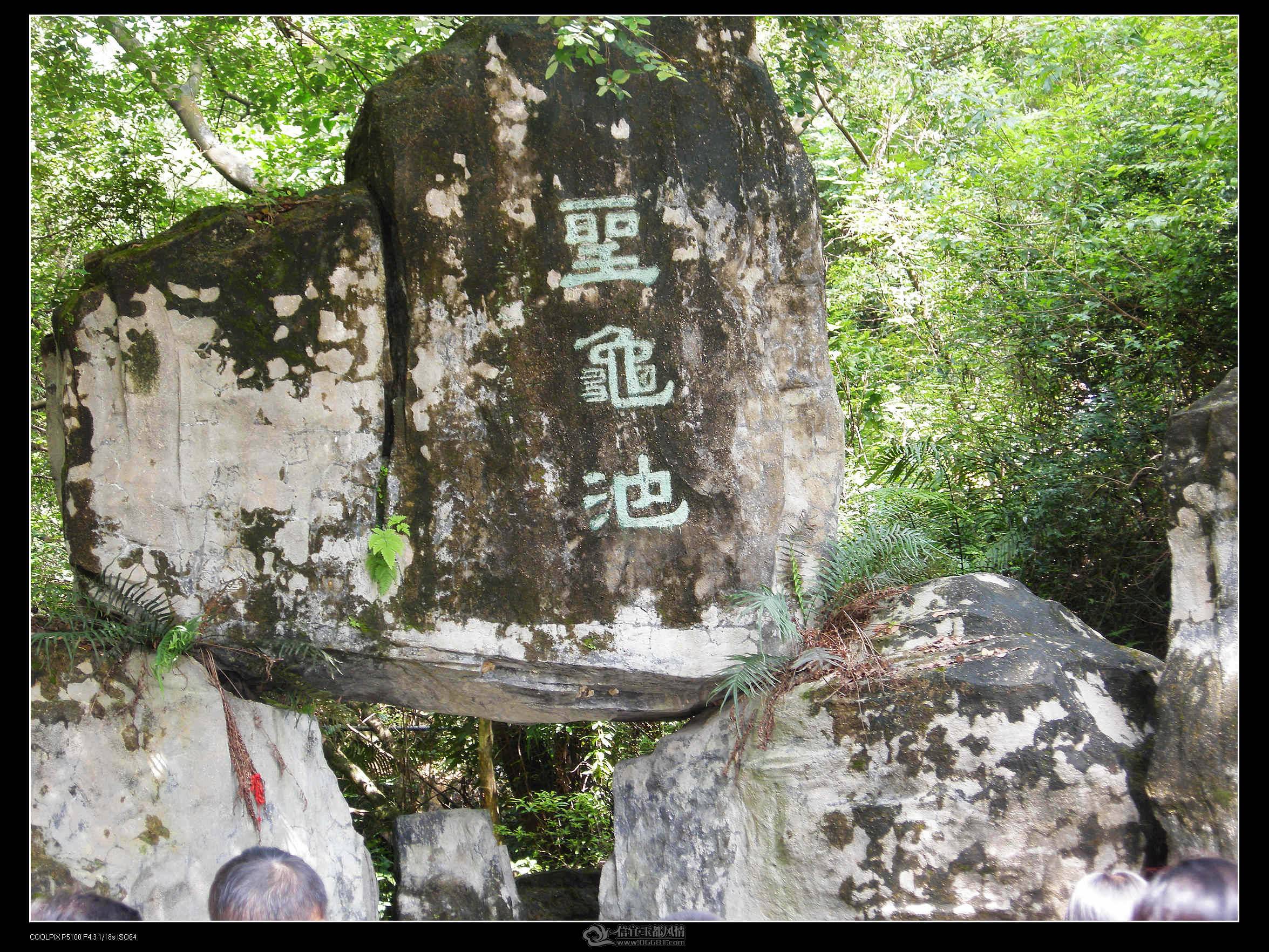 DSCN2360.jpg