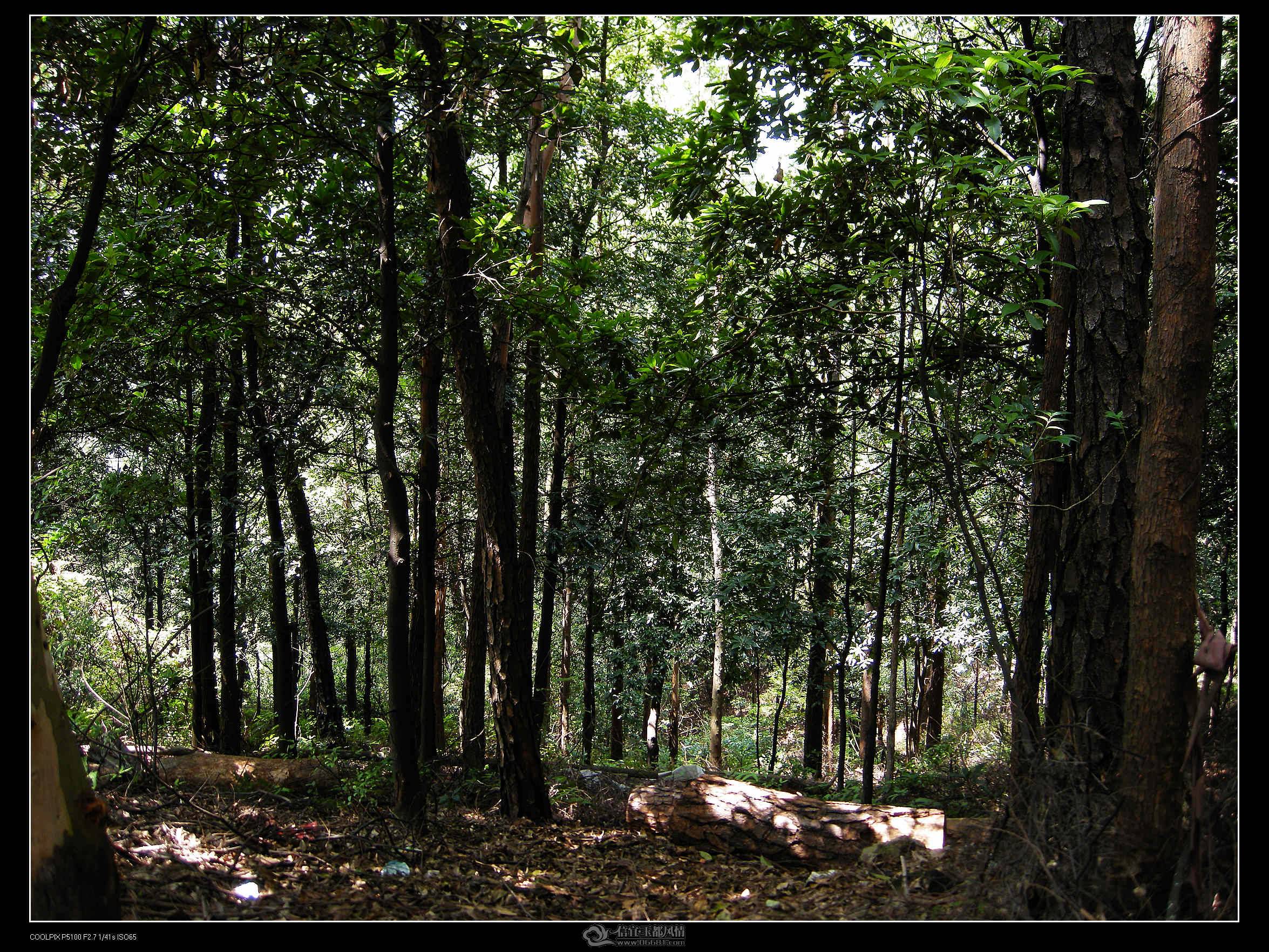 DSCN2391.jpg