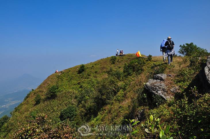 DSC_3123-2.jpg