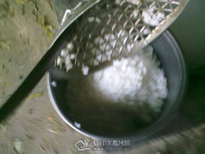 20101021692.jpg