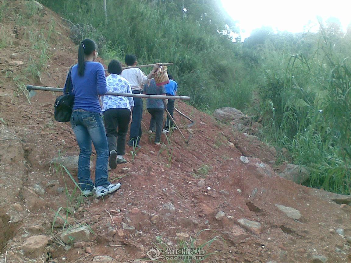 20101017(019).jpg