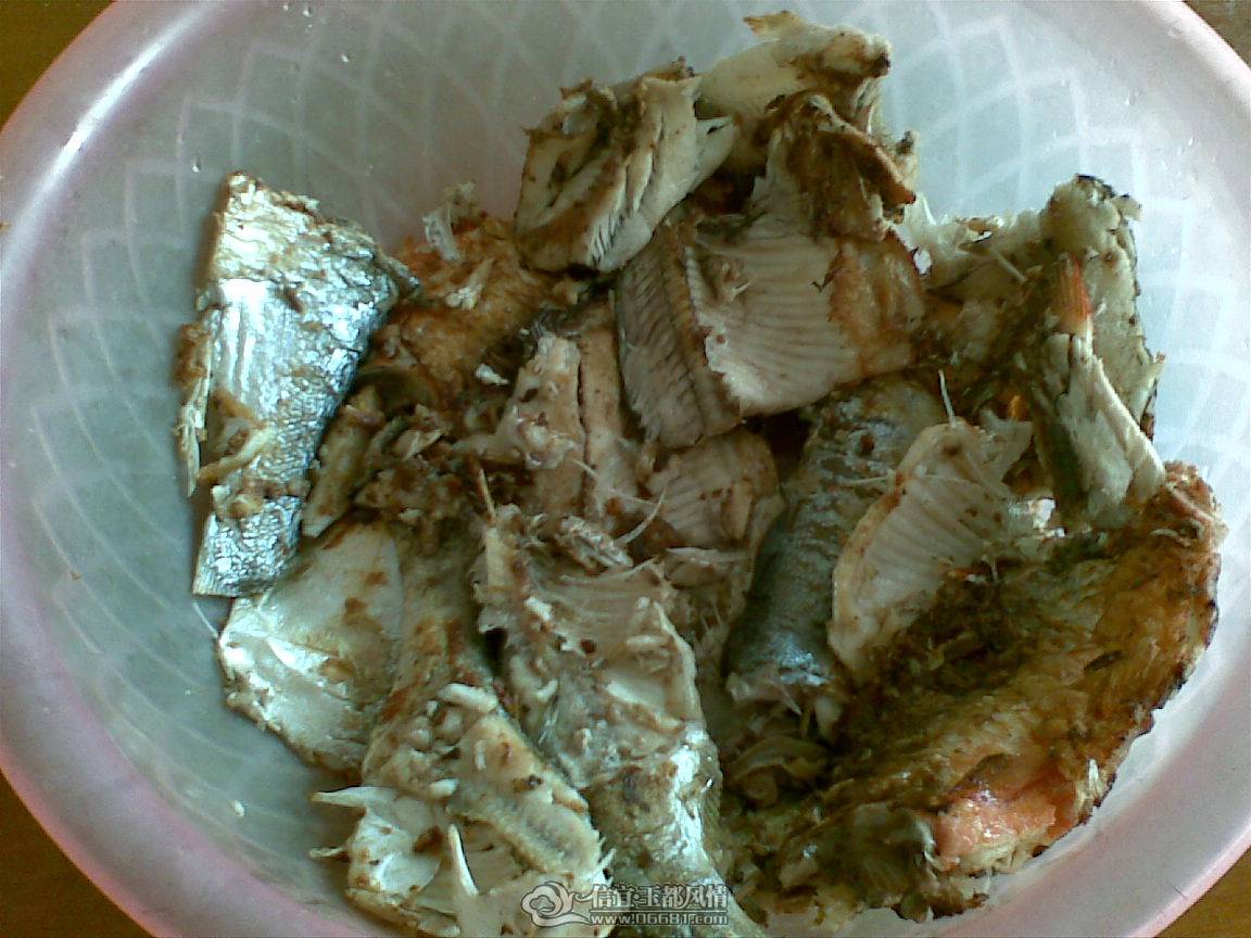 20101018(001).jpg