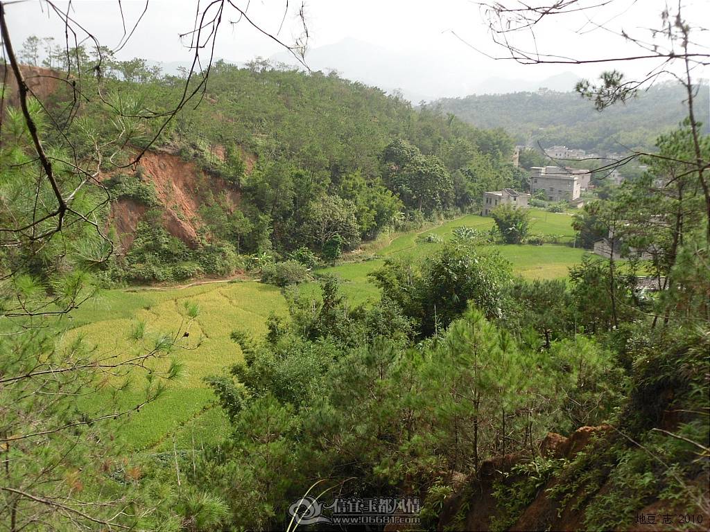 2010����0110000.JPG