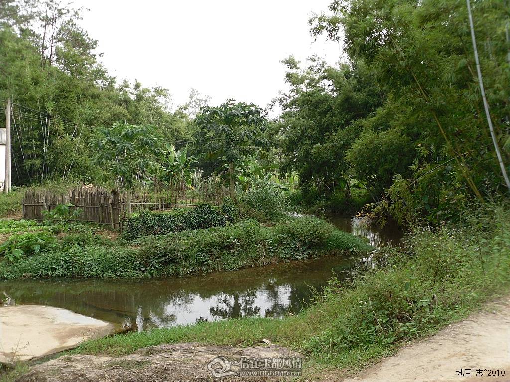 2010����0460000.JPG