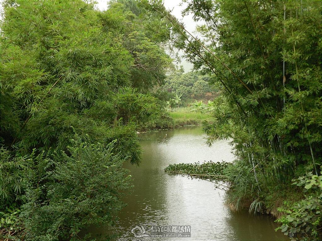 2010����0470000.JPG