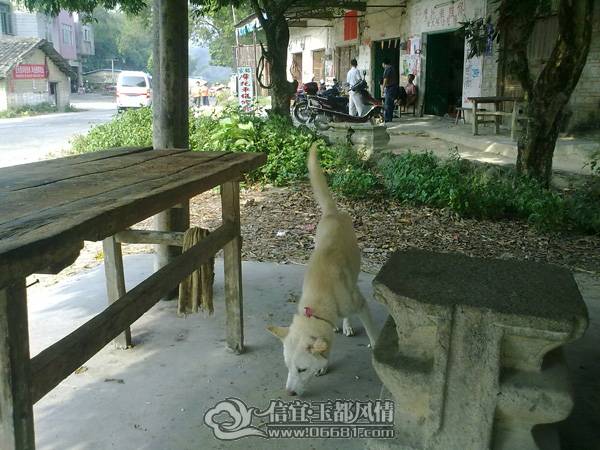 20101020484.jpg