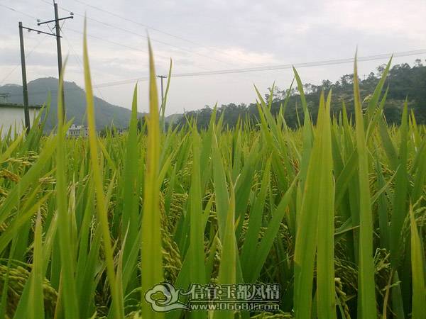 16102010445.jpg