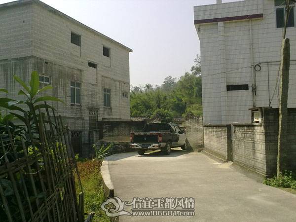 20101020505.jpg