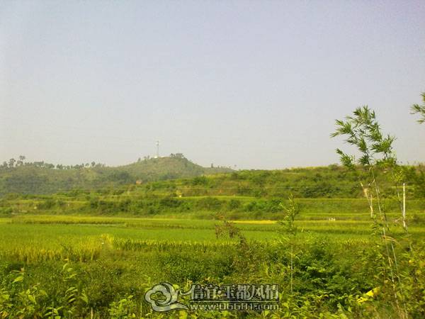 20101020499.jpg