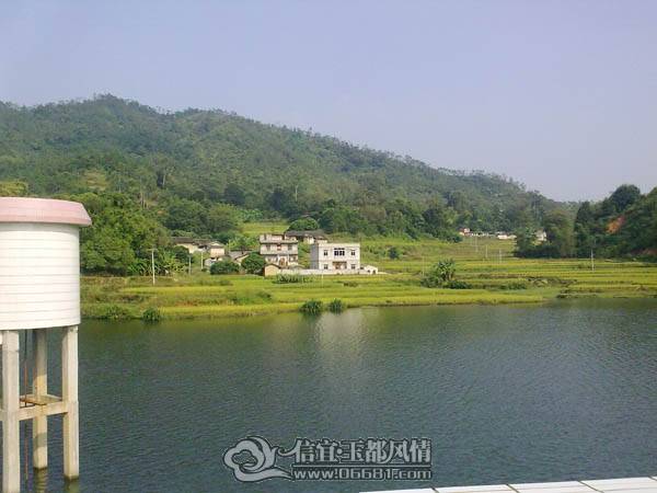 20101020570.jpg