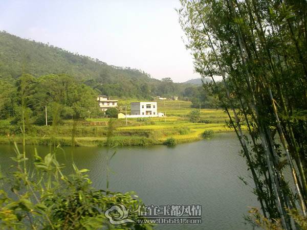 20101020568.jpg