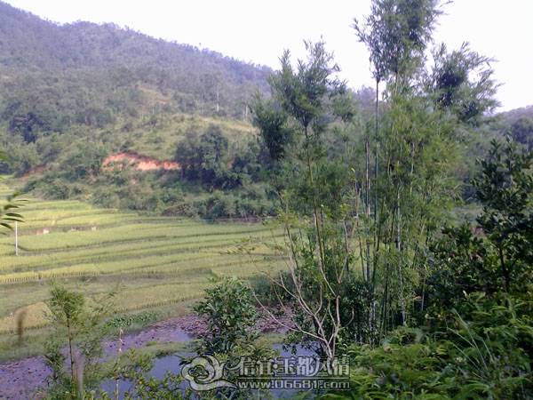 20101020566.jpg