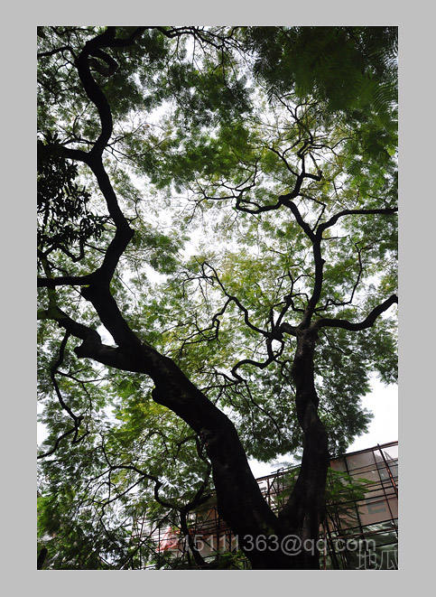 DSC_1820.JPG