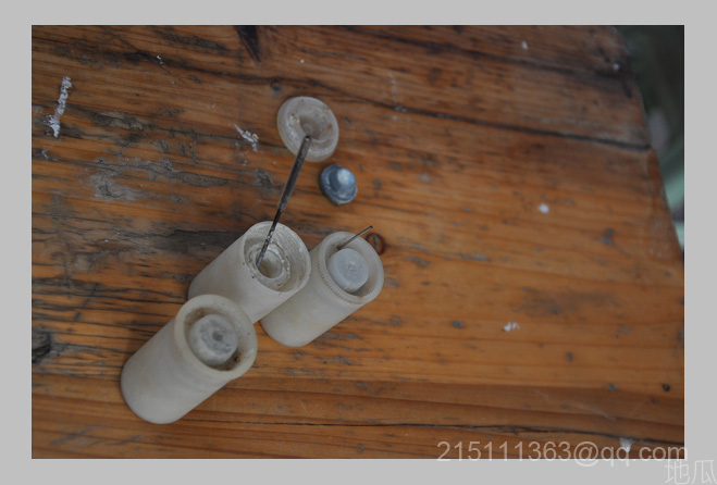DSC_1885.JPG