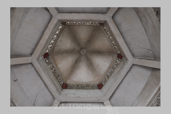 DSC_1901.JPG
