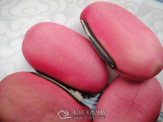 http_imgload[43].jpg