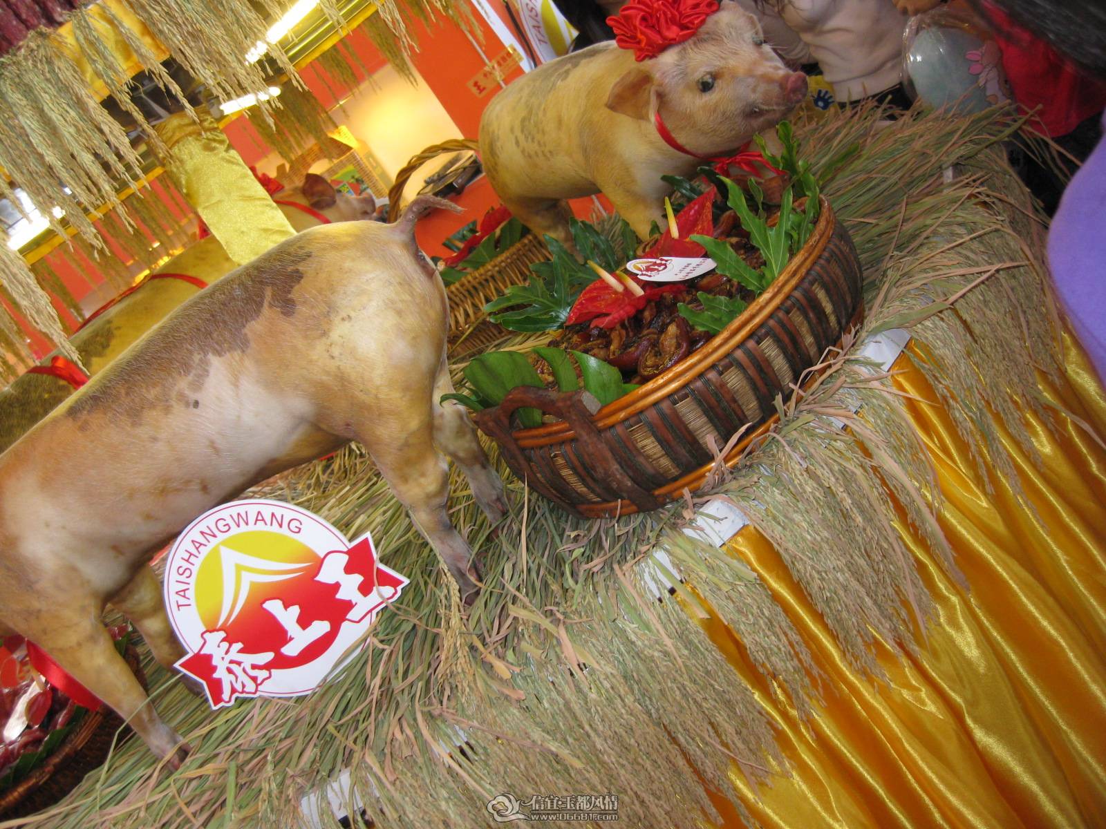 ��Ƭ 028.jpg
