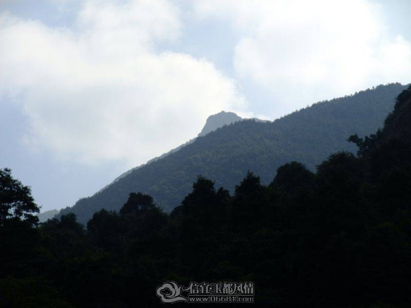 DSCF8993.JPG