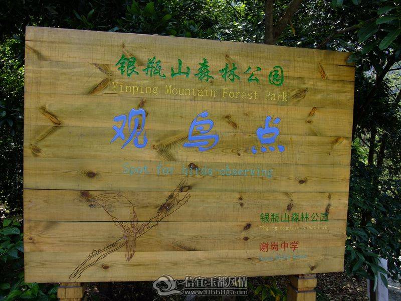 DSCF8990.JPG