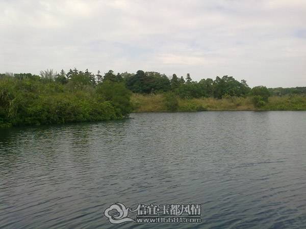 20101113799.jpg