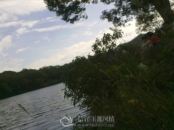 20101113794.jpg
