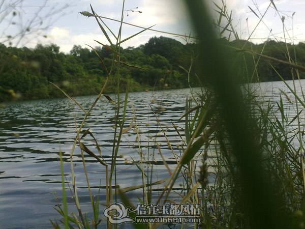 20101113792.jpg