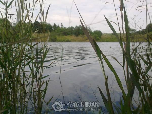 20101113790.jpg