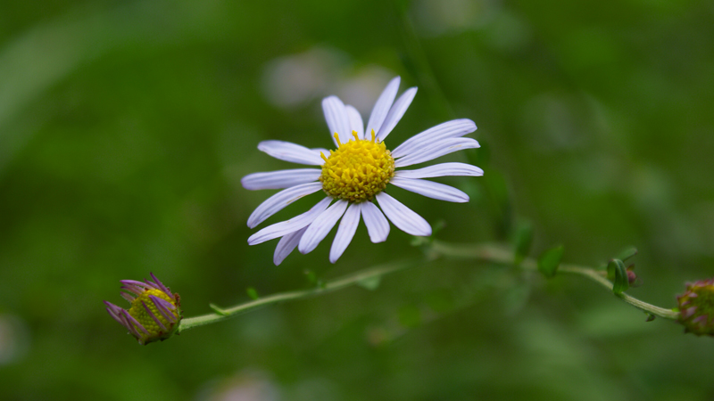 DSC08944.jpg
