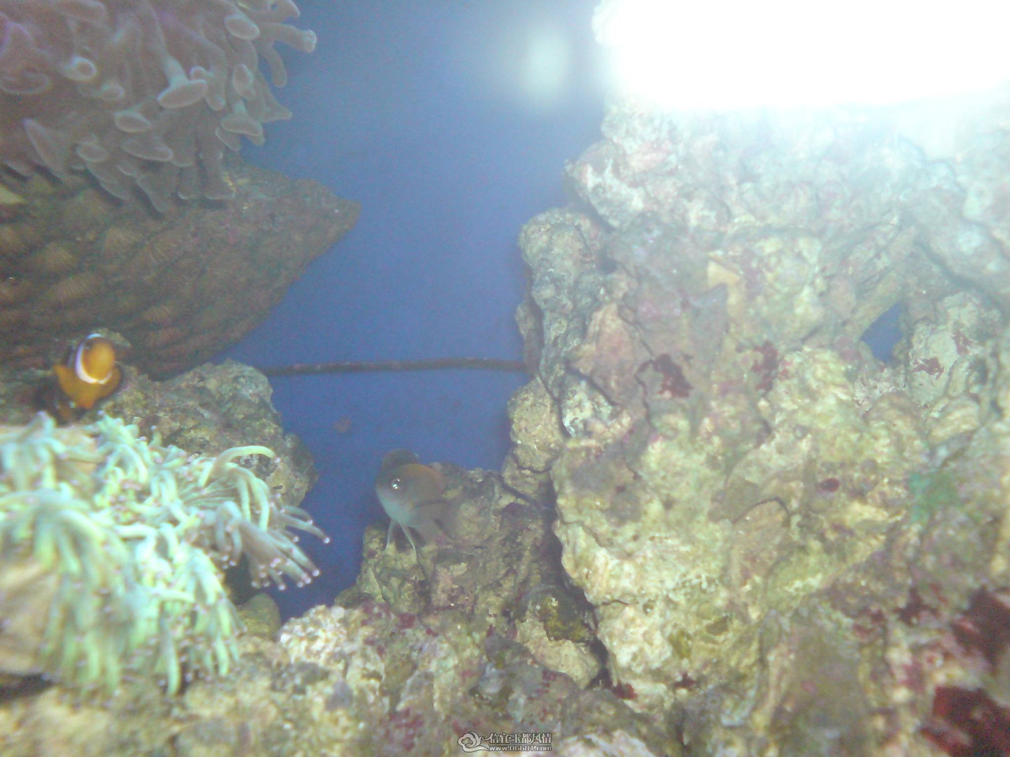 DSC00075.JPG
