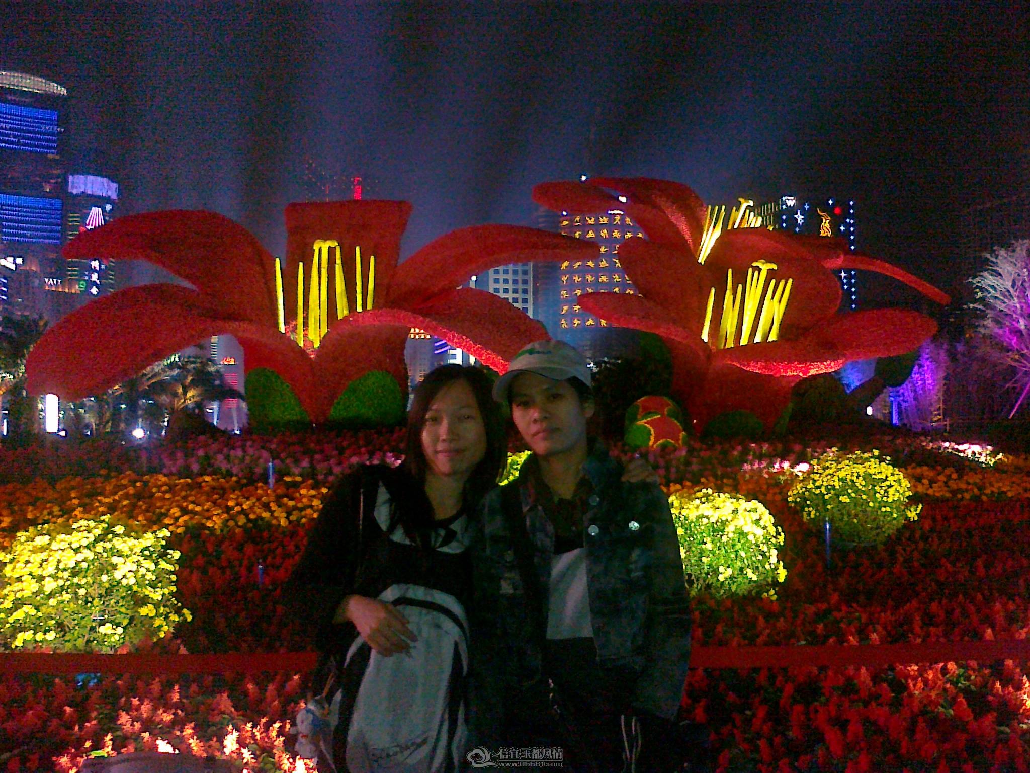 20101116364.jpg